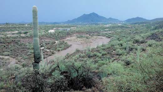 flooded cave creek